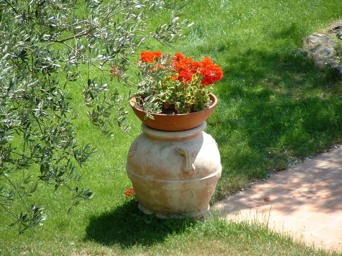 La Riserva Montebello Bolsena Dış mekan fotoğraf
